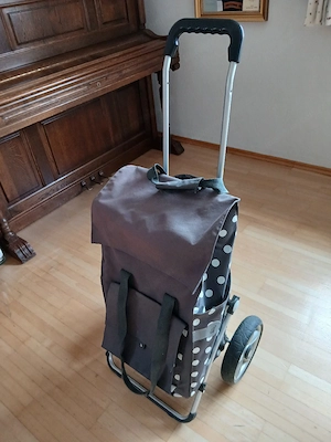 Einkaufswagen