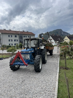 Biete Forst und Gartenarbeiten Bild 2