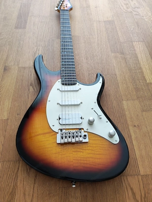 Cort E Gitarre Bild 2