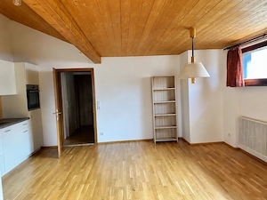 Vermiete frisch renovierte Attikawohnung