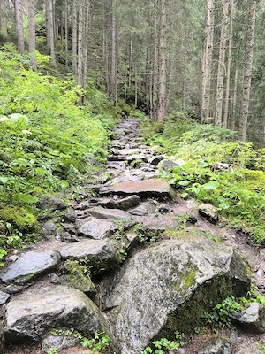 Zärtlichkeiten Küssen Sex