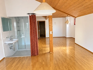 Vermiete frisch renovierte Attikawohnung Bild 4