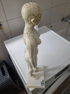 Akupunktur  Bild 2